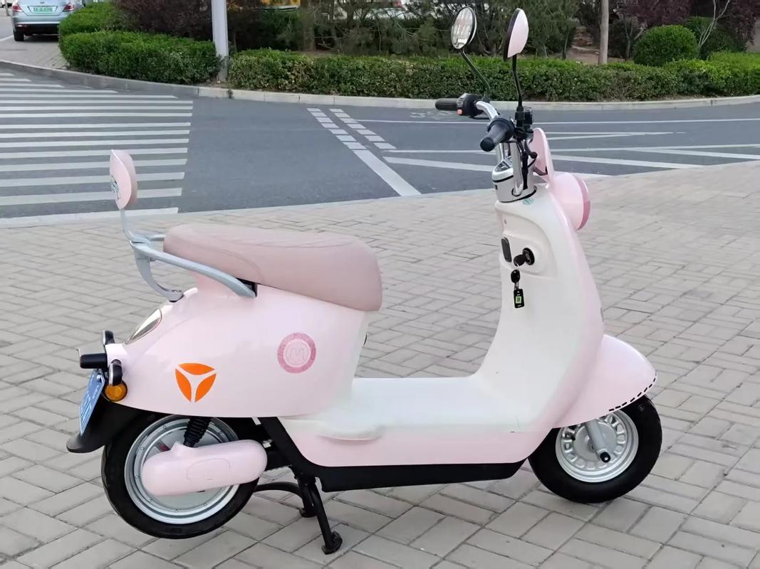 电瓶车哪个品牌好 那种电瓶车质量最好又耐用