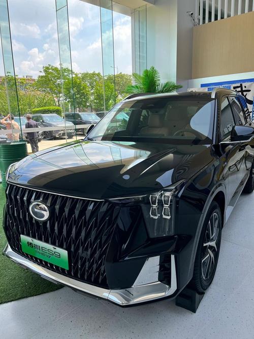 广汽传祺汽车纯电动车(广气传祺纯电动车)