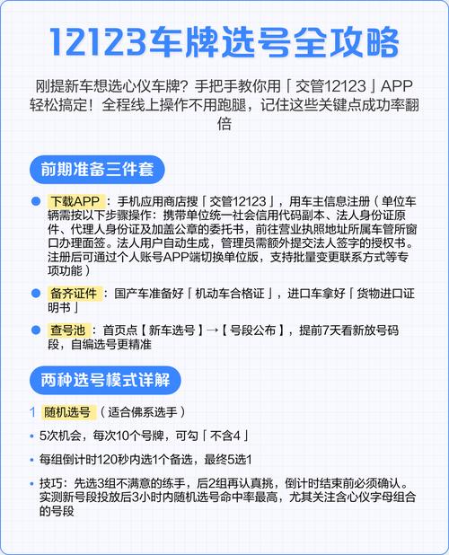 12123网上选车牌号技巧／12123车辆网上选号技巧