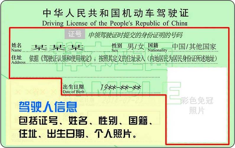 查询个人驾驶证信息怎么查(怎么查询个人驾照信息)