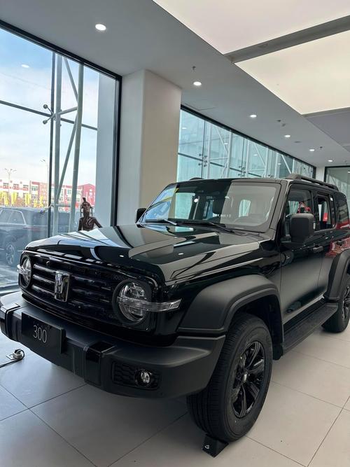 长城魏派300越野车(长城魏派300越野车报价及参数)