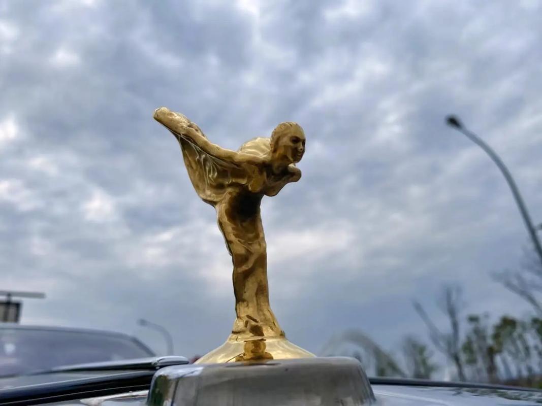 劳斯莱斯加长版9米 劳斯莱斯加长版88米