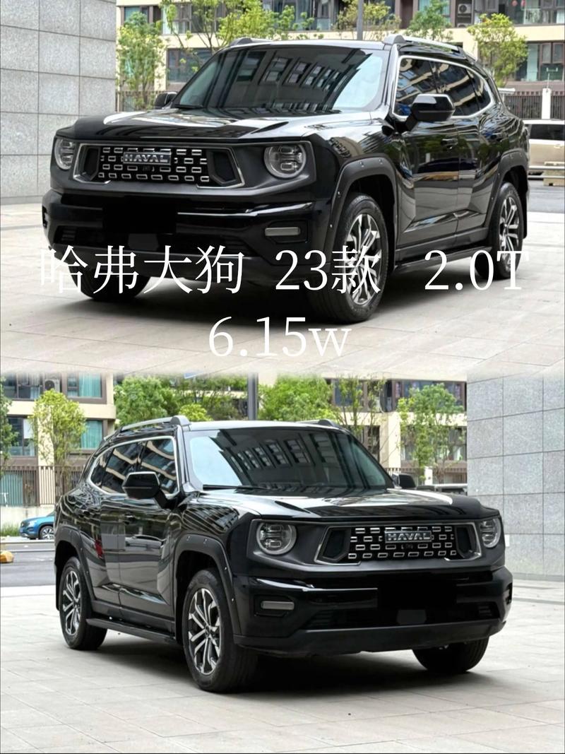 为什么不买哈弗大狗 哈弗大狗销量为什么不好