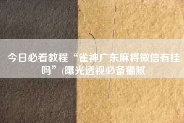 今日必看教程“雀神广东麻将微信有挂吗	”(曝光透视必备猫腻