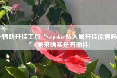 辅助开挂工具“wepoker私人局开挂能信吗”(原来确实是有插件)