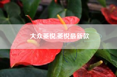 大众菱悦,菱悦最新款