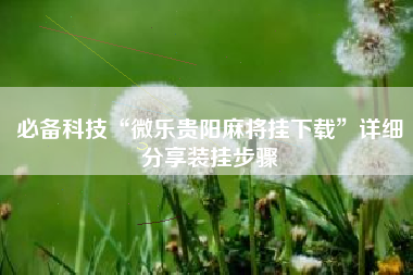 必备科技“微乐贵阳麻将挂下载”详细分享装挂步骤