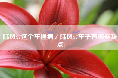 陆风x7这个车通病／陆风x7车子有哪些缺点