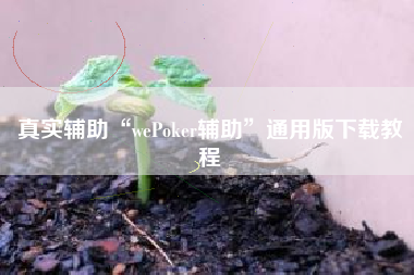 真实辅助“wePoker辅助	”通用版下载教程