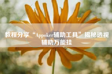 教程分享“Appoker辅助工具”揭秘透视辅助万能挂