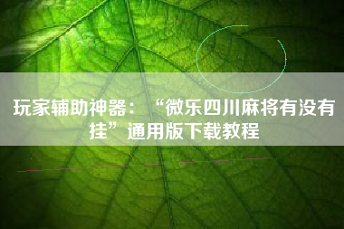 玩家辅助神器：“微乐四川麻将有没有挂”通用版下载教程