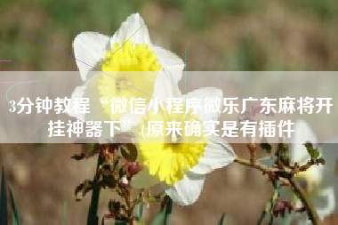 3分钟教程“微信小程序微乐广东麻将开挂神器下”(原来确实是有插件