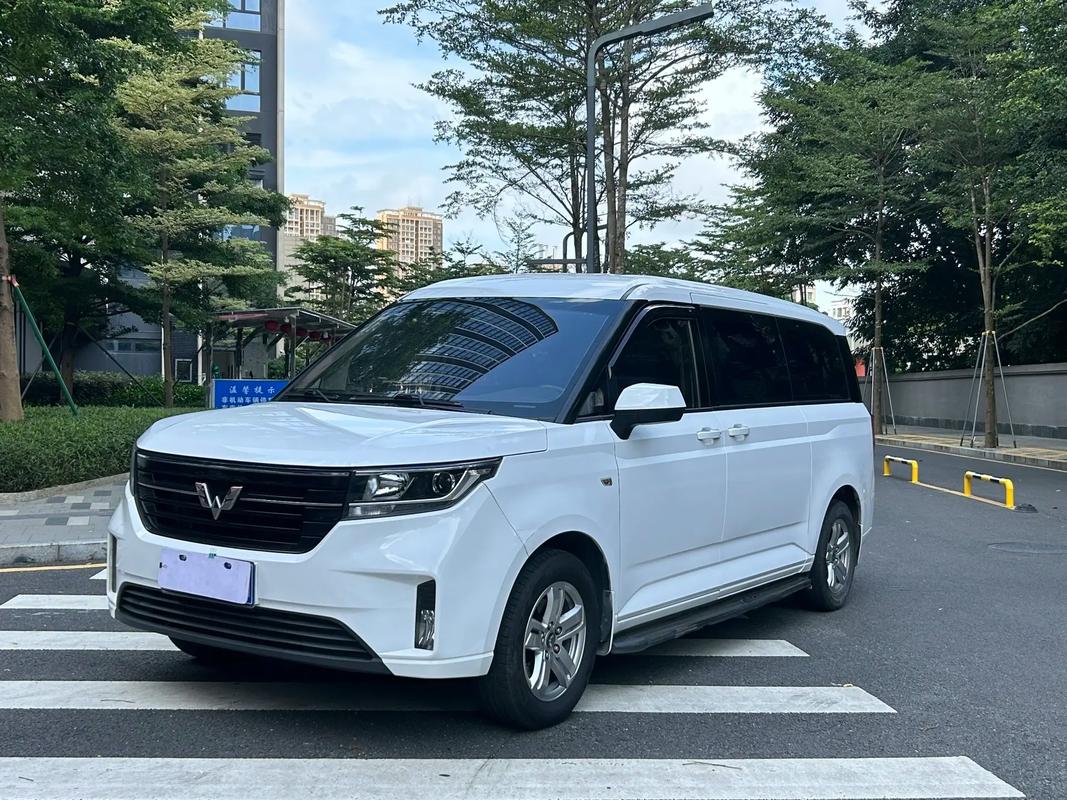 五菱汽车最新款七座/五菱2022款7座