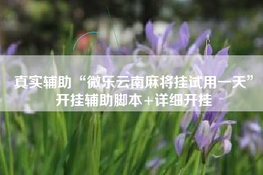 真实辅助“微乐云南麻将挂试用一天	”开挂辅助脚本+详细开挂