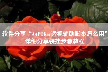 软件分享“AAPOKer透视辅助脚本怎么用	”详细分享装挂步骤教程