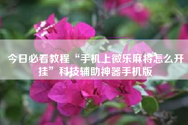 今日必看教程“手机上微乐麻将怎么开挂	”科技辅助神器手机版