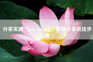 分享实测“pokemmo挂”详细分享装挂步骤