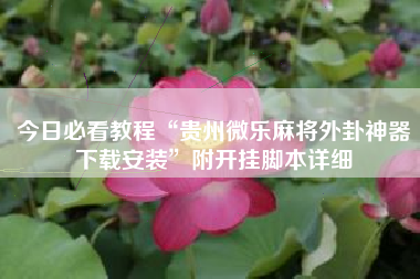 今日必看教程“贵州微乐麻将外卦神器下载安装”附开挂脚本详细