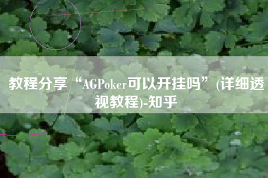 教程分享“AGPoker可以开挂吗”(详细透视教程)-知乎
