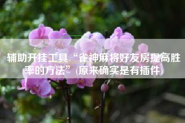 辅助开挂工具“雀神麻将好友房提高胜率的方法	”(原来确实是有插件)