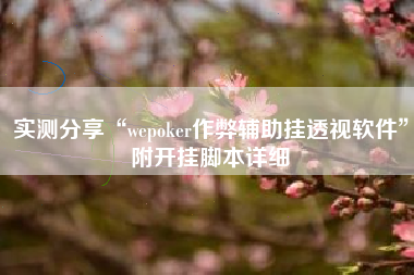 实测分享“wepoker作弊辅助挂透视软件	”附开挂脚本详细
