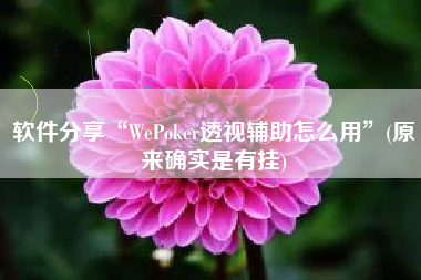 软件分享“WePoker透视辅助怎么用”(原来确实是有挂)