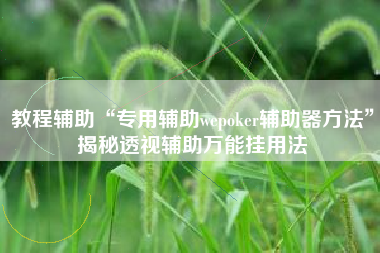 教程辅助“专用辅助wepoker辅助器方法”揭秘透视辅助万能挂用法