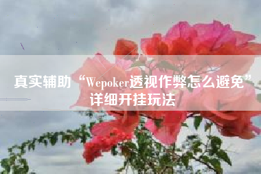真实辅助“Wepoker透视作弊怎么避免”详细开挂玩法
