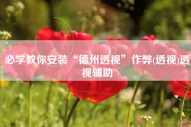 必学教你安装“德州透视	”作弊(透视)透视辅助