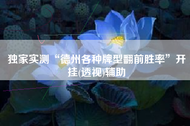 独家实测“德州各种牌型翻前胜率”开挂(透视)辅助