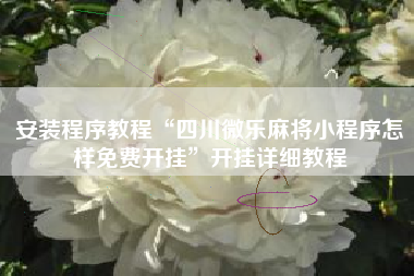 安装程序教程“四川微乐麻将小程序怎样免费开挂”开挂详细教程