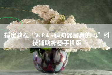 指定教程“WePoker辅助器是真的吗”科技辅助神器手机版