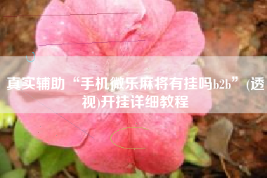 真实辅助“手机微乐麻将有挂吗b2b”(透视)开挂详细教程