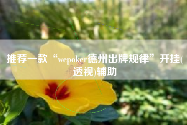推荐一款“wepoker德州出牌规律	”开挂(透视)辅助