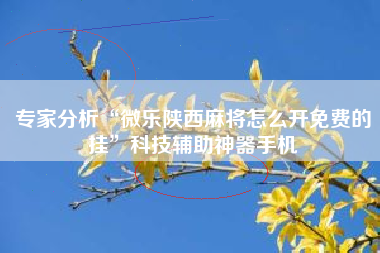 专家分析“微乐陕西麻将怎么开免费的挂”科技辅助神器手机