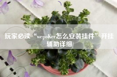 玩家必读“wepoKer怎么安装挂件”开挂辅助详细
