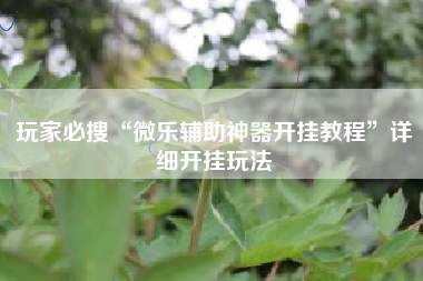 玩家必搜“微乐辅助神器开挂教程	”详细开挂玩法
