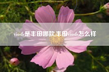 viosfs是丰田哪款,丰田viosfs怎么样 viosfs是丰田哪款,丰田viosfs怎么样