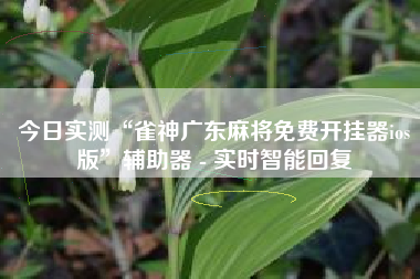 今日实测“雀神广东麻将免费开挂器ios版”辅助器 - 实时智能回复