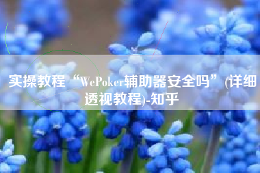 实操教程“WePoker辅助器安全吗”(详细透视教程)-知乎