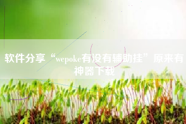 软件分享“wepoke有没有辅助挂”原来有神器下载