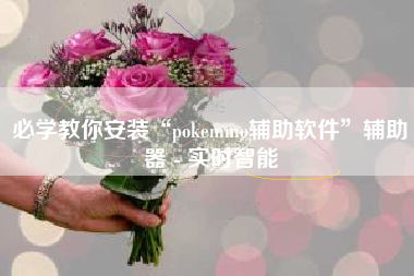 必学教你安装“pokemmo辅助软件”辅助器 - 实时智能