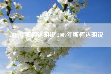 2010年斯柯达明锐 2009年斯柯达明锐