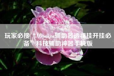 玩家必搜“AGpoker辅助器透视挂开挂必备	”科技辅助神器手机版