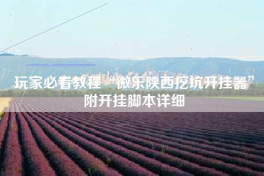 玩家必看教程“微乐陕西挖坑开挂器	”附开挂脚本详细