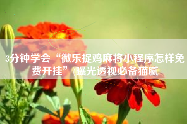 3分钟学会“微乐捉鸡麻将小程序怎样免费开挂”(曝光透视必备猫腻