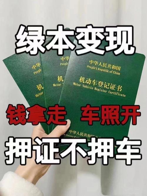哪个银行可以押绿本贷款,哪个银行可以用车大绿本贷款