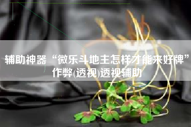 辅助神器“微乐斗地主怎样才能来好牌	”作弊(透视)透视辅助