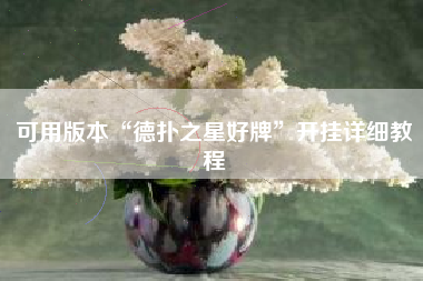 可用版本“德扑之星好牌	”开挂详细教程