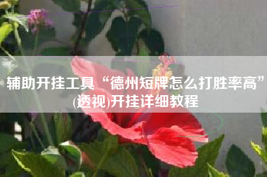 辅助开挂工具“德州短牌怎么打胜率高”(透视)开挂详细教程